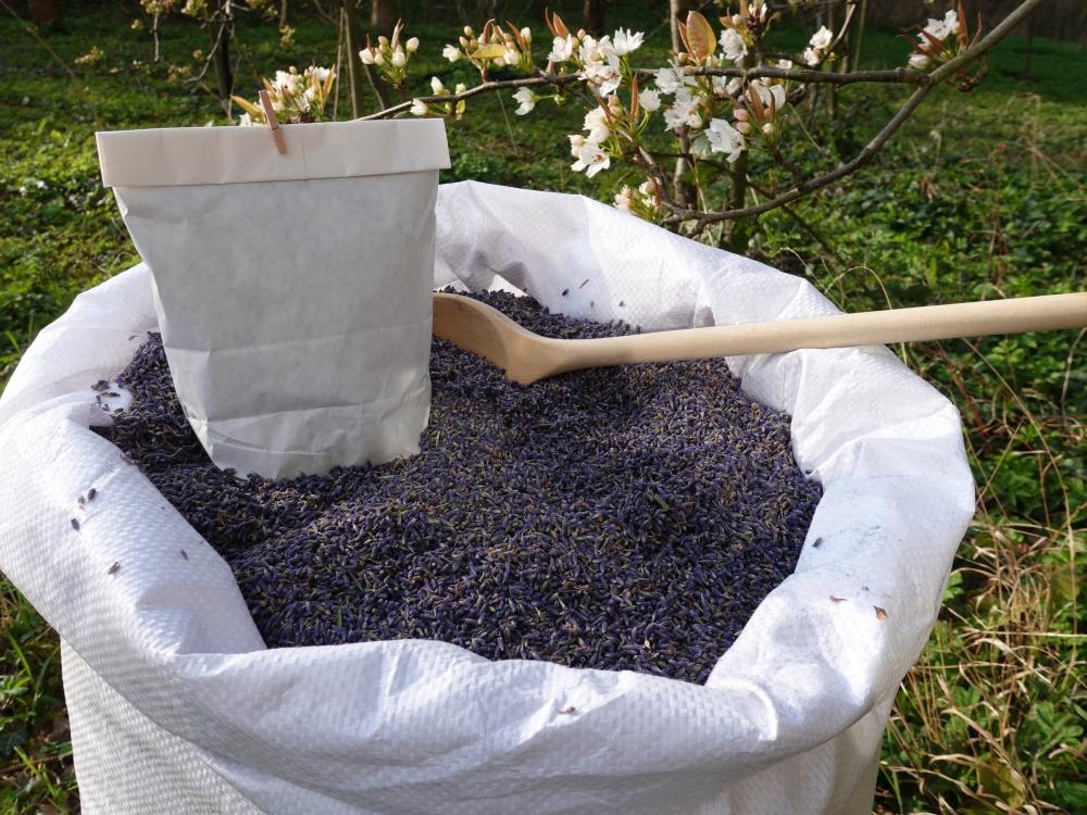 Bio-Lavandinblüten aus der Provence, 50 g